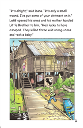 Asian Stories Set 2 - Little Brother (Malaysia) (L19)