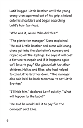 Asian Stories Set 2 - Little Brother (Malaysia) (L19)
