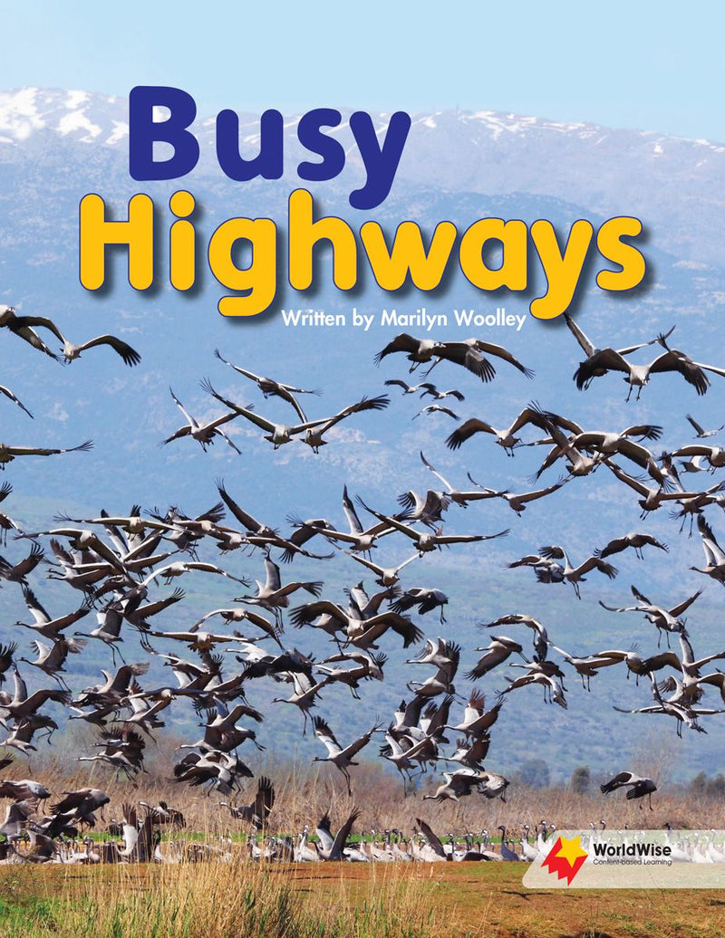 Worldwise Level O: Busy Highways
