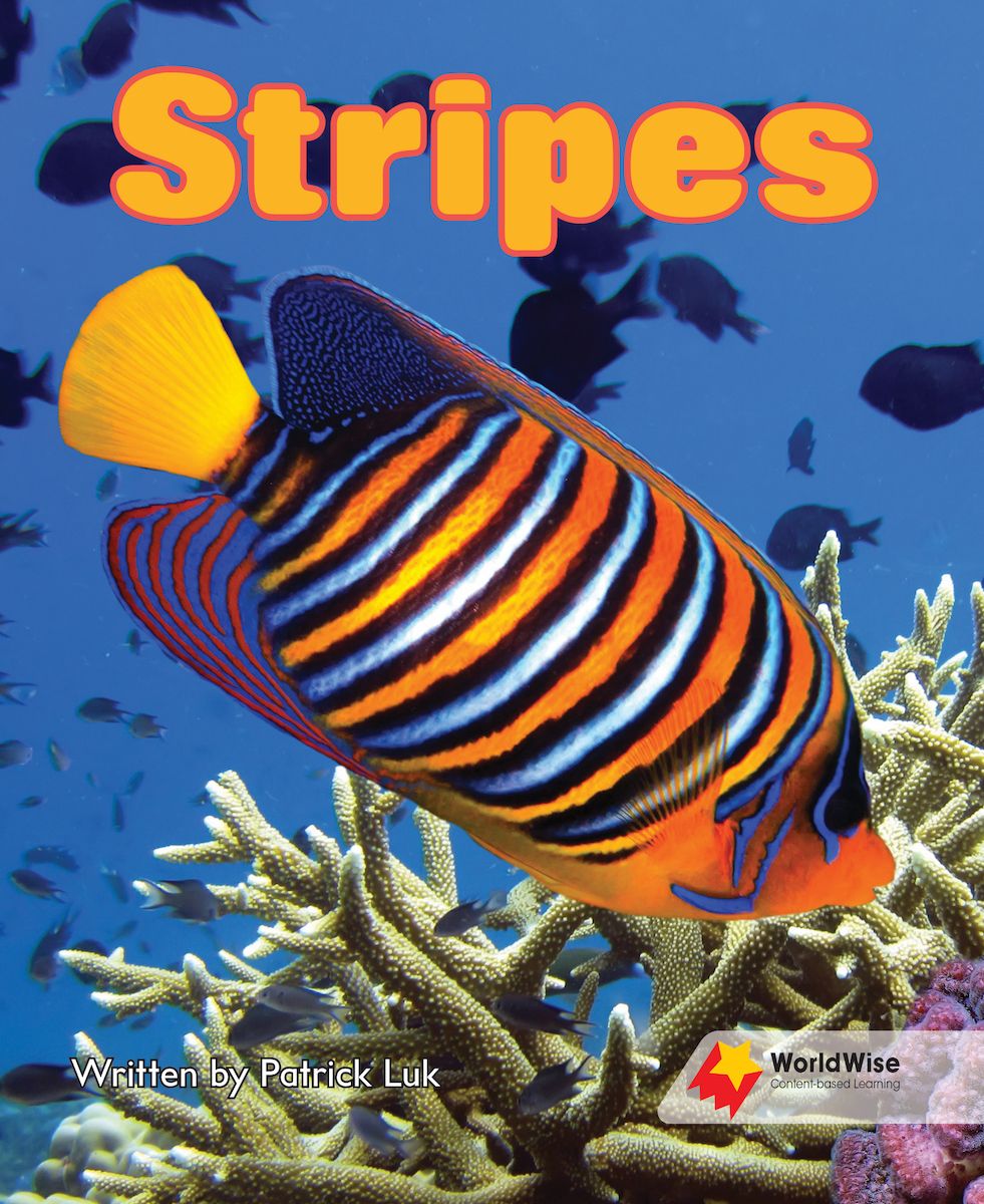 WorldWise Level 2:Stripes