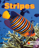 WorldWise Level 2:Stripes