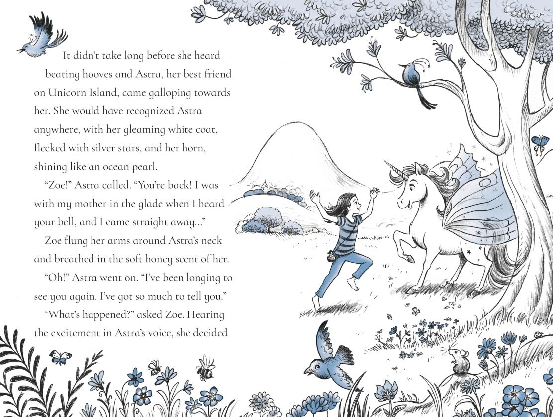 Fairy Unicorns The Kingdom under the Sea (Usborne Young Reading)