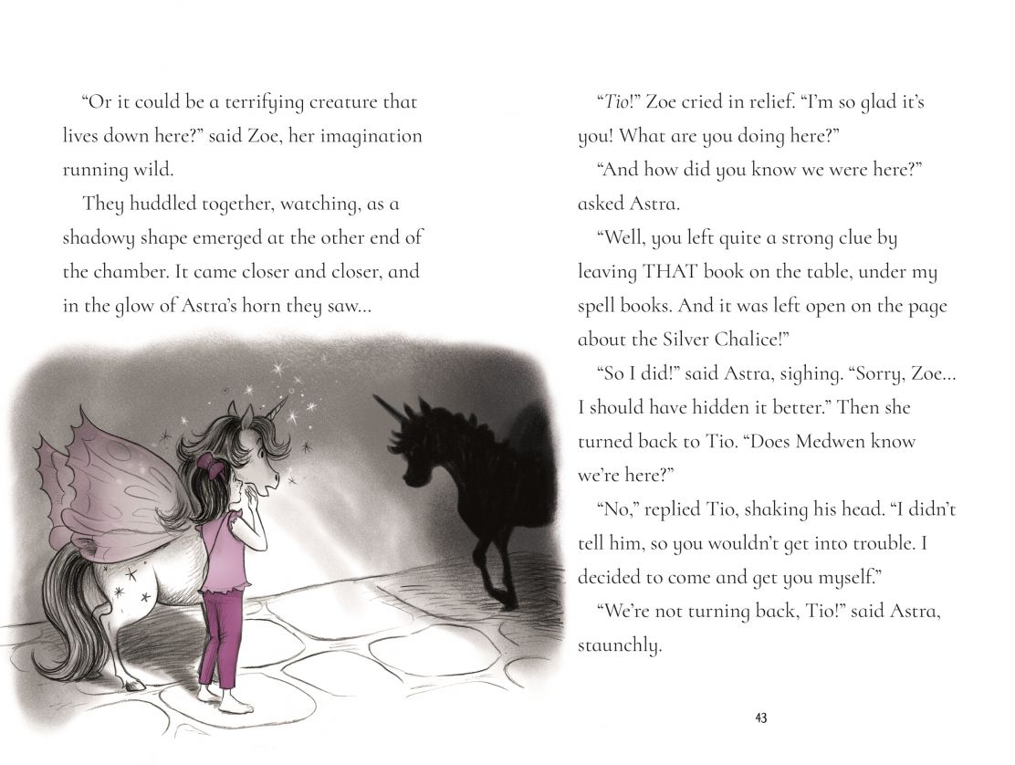 Fairy Unicorns The Treasure Quest (Usborne Young Reading)