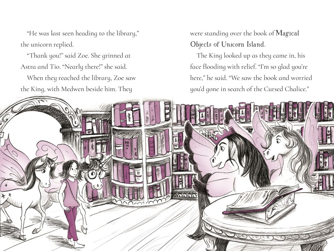 Fairy Unicorns The Treasure Quest (Usborne Young Reading)