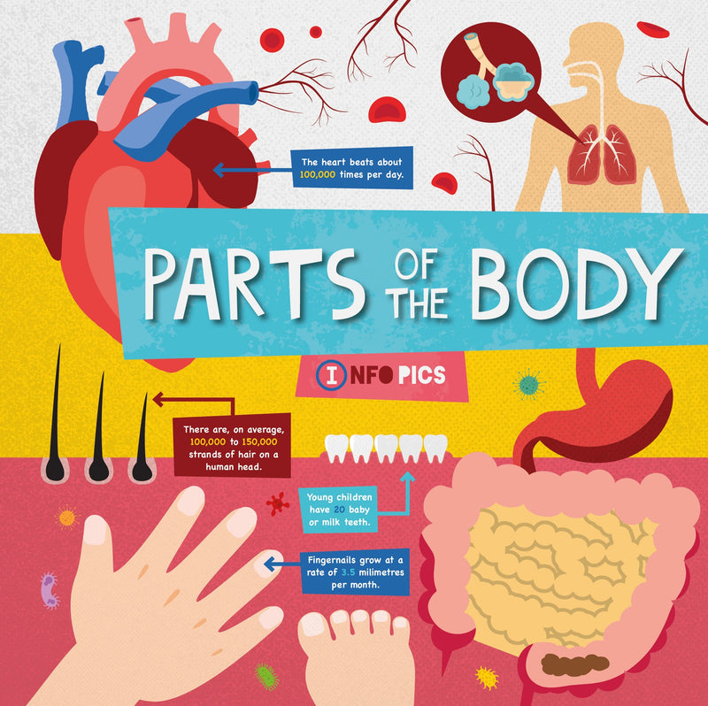 InfoPics: Parts of the Body-PB