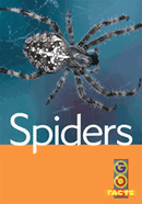 Go Facts Set 2: Spiders (L6)