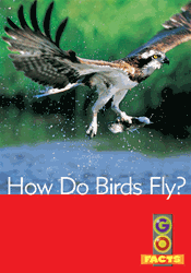 Go Facts Set 4: How Do Birds Fly? (L12)