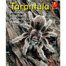 Alphakids L11: Tarantula
