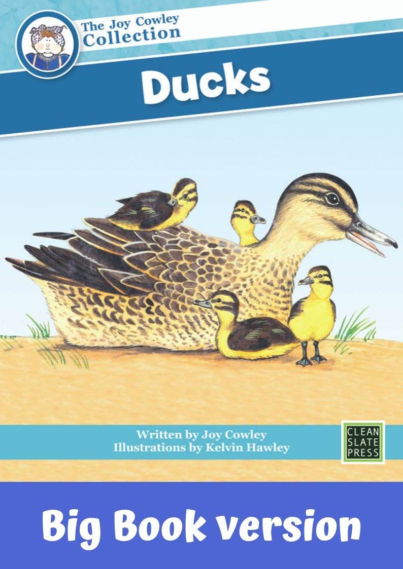 Ducks (L5)Big Book