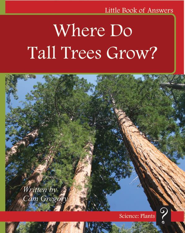 LBA Red Level 3-4: Where Do Tall Trees Grow?
