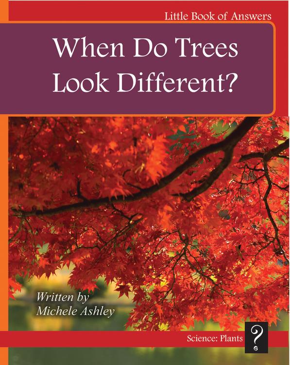 LBA Red Level 5:When Do Trees Look Different?