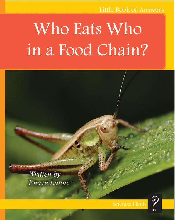 LBA Yellow Level 8:Who Eats Who in a Food Chain?