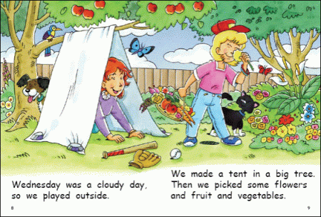 Red Rocket Early Level 4 Fiction B (Level 12): A Week With My Aunt