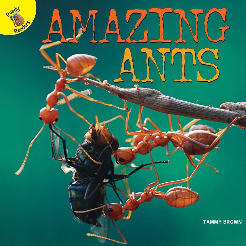 Ready Readers:Amazing Ants