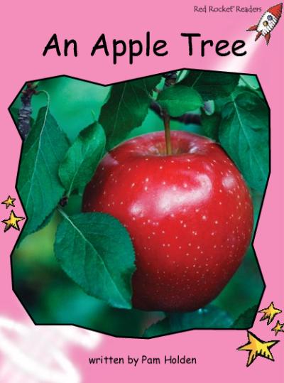 Red Rocket Pre-Reading Non Fiction B (Level 1): An Apple Tree
