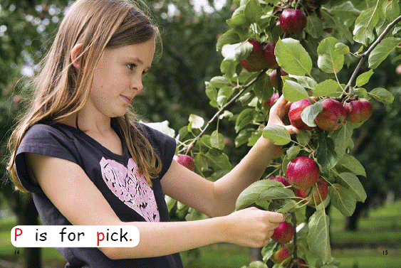 Red Rocket Pre-Reading Non Fiction B (Level 1): An Apple Tree