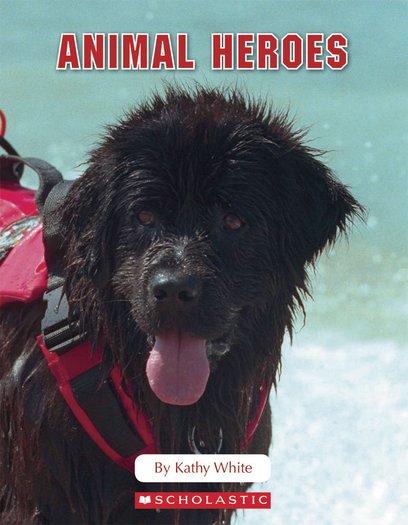 Connectors II - Animal Heroes