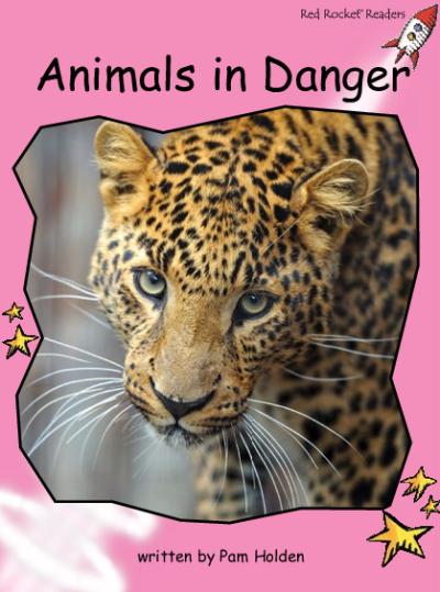 Red Rocket Pre-Reading Non Fiction C (Level 1): Animals in Danger