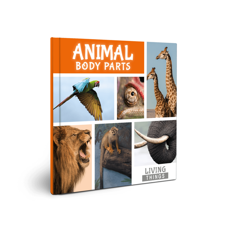 Living Things: Animal Body Parts