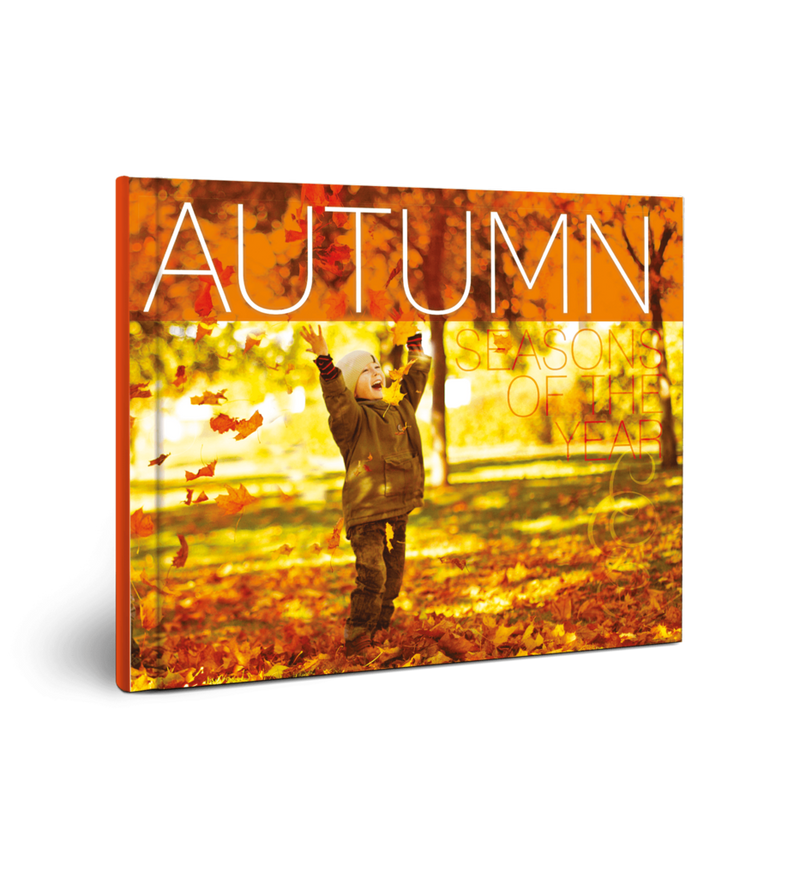 Seasons of the Year: Autumn