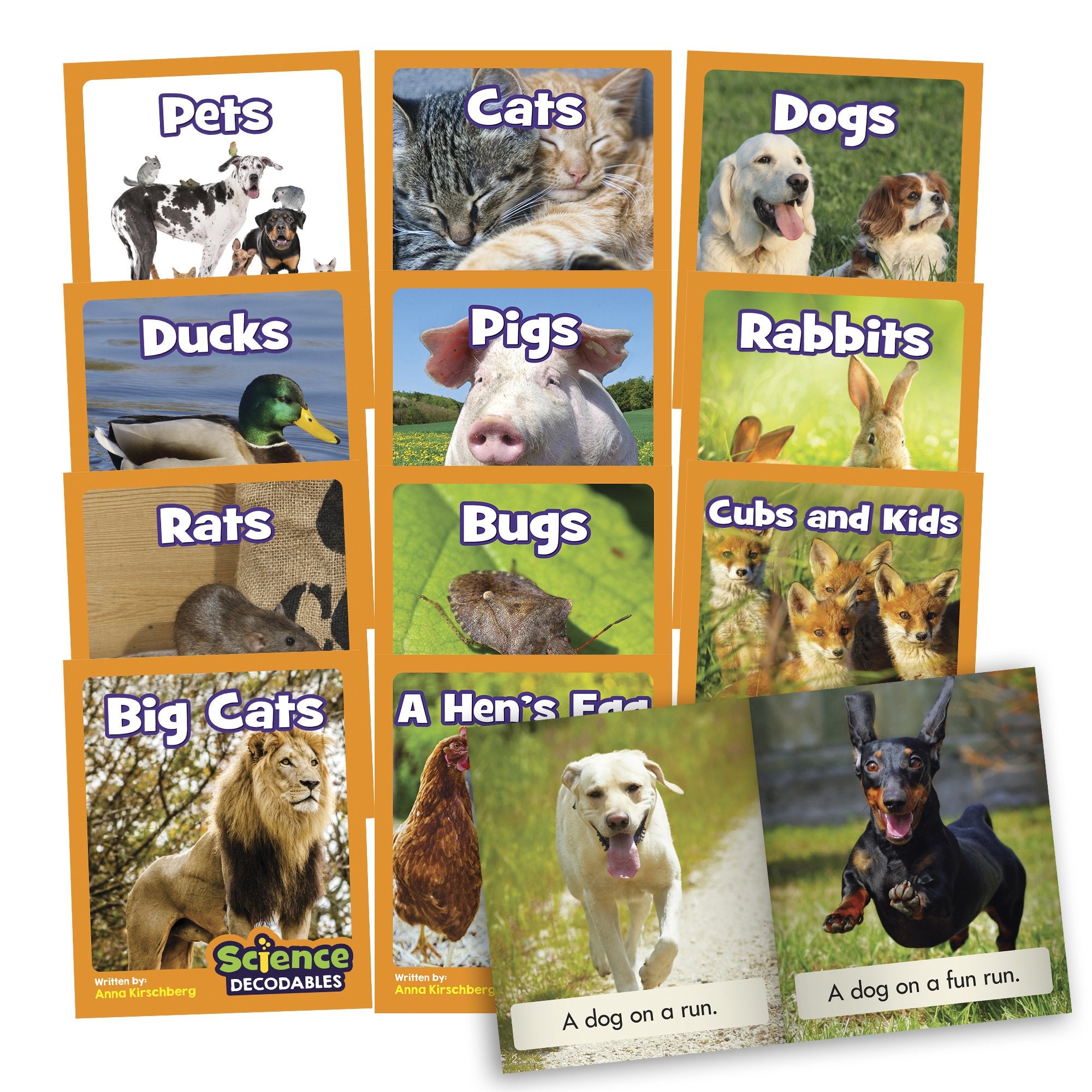 Beanstalk Books: Science Decodables Phase 2 Non Fiction(BB100)