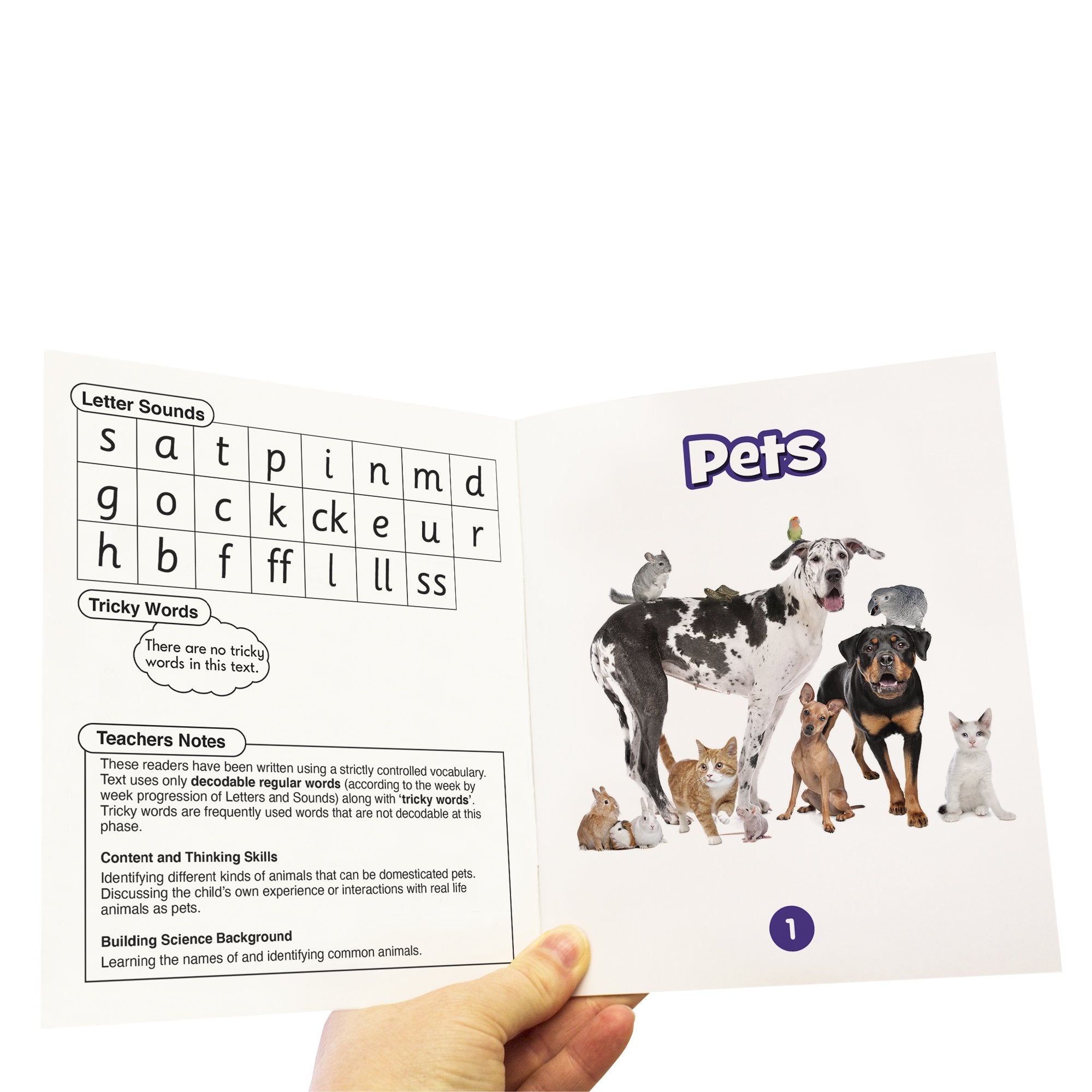 Beanstalk Books: Science Decodables Phase 2 Non Fiction(BB100)