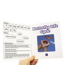 Beanstalk Books:Science Decodables Phase 6 Non Fiction(BB104)