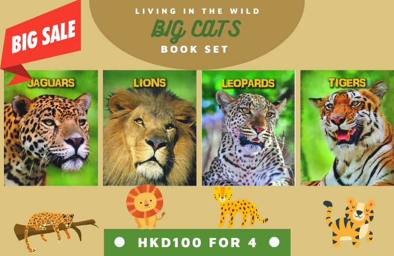 Living in the Wild: Big Cats 4-Book Set