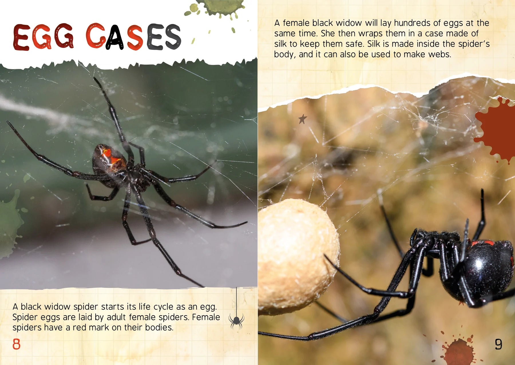 BookLife Freedom Readers: The Gross Life Cycle of a Black Widow Spider