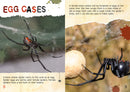 BookLife Freedom Readers: The Gross Life Cycle of a Black Widow Spider
