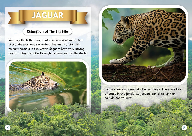 BookLife Freedom Readers: Champions of the Jungle
