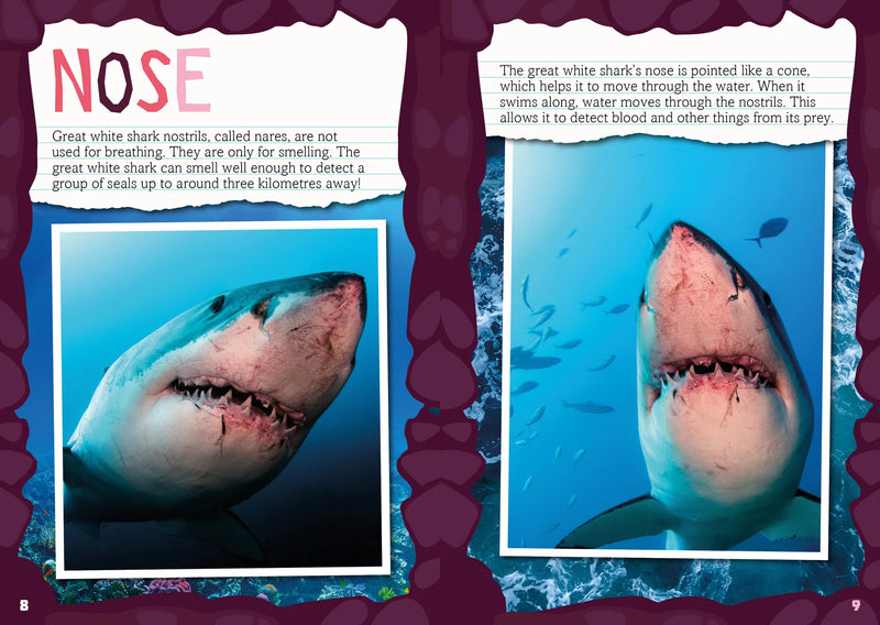 BookLife Freedom Readers: Teeth to Tail of a Great White Shark
