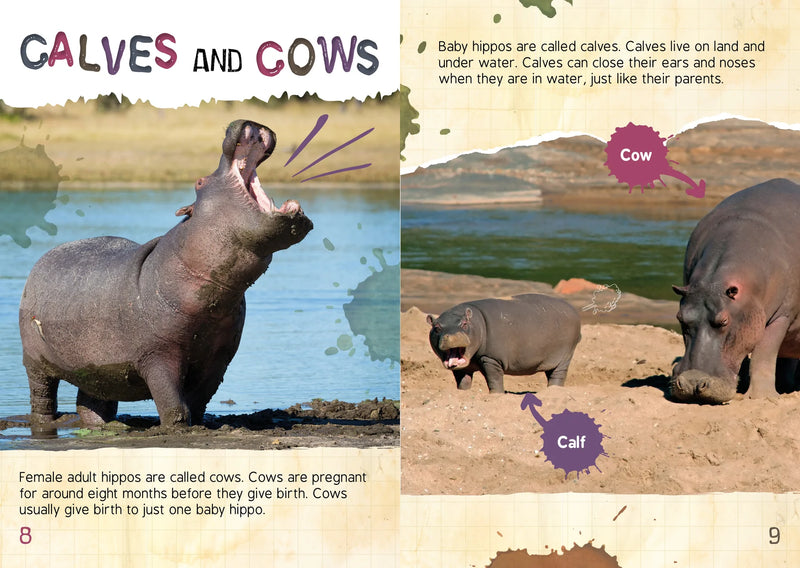 BookLife Freedom Readers: The Gross Life Cycle of a Hippopotamus