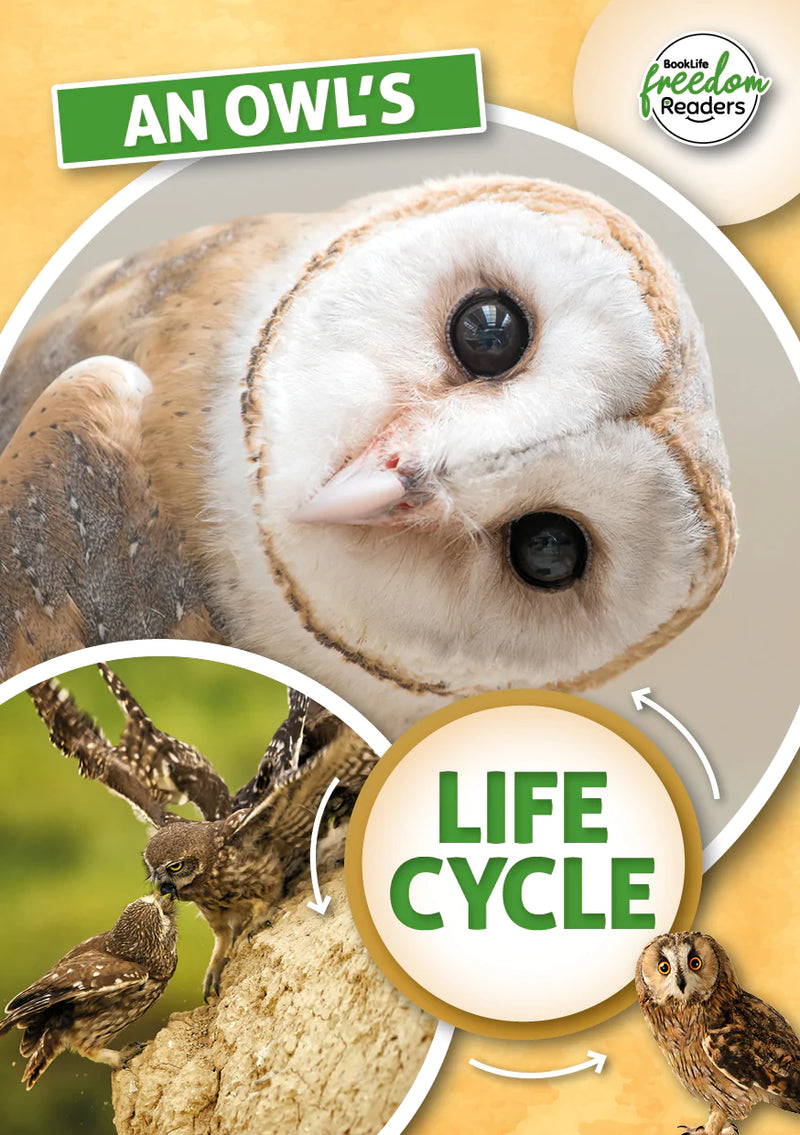 BookLife Freedom Readers: An Owl's Life Cycle