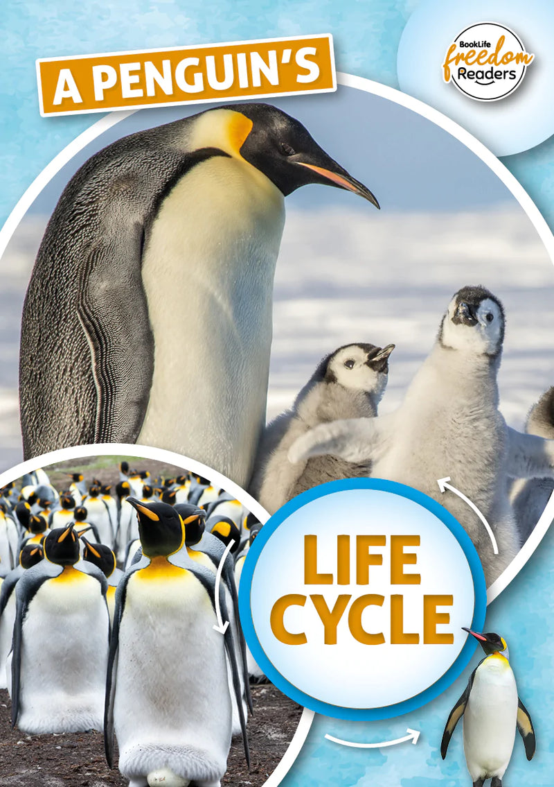 BookLife Freedom Readers: A Penguin's Life Cycle