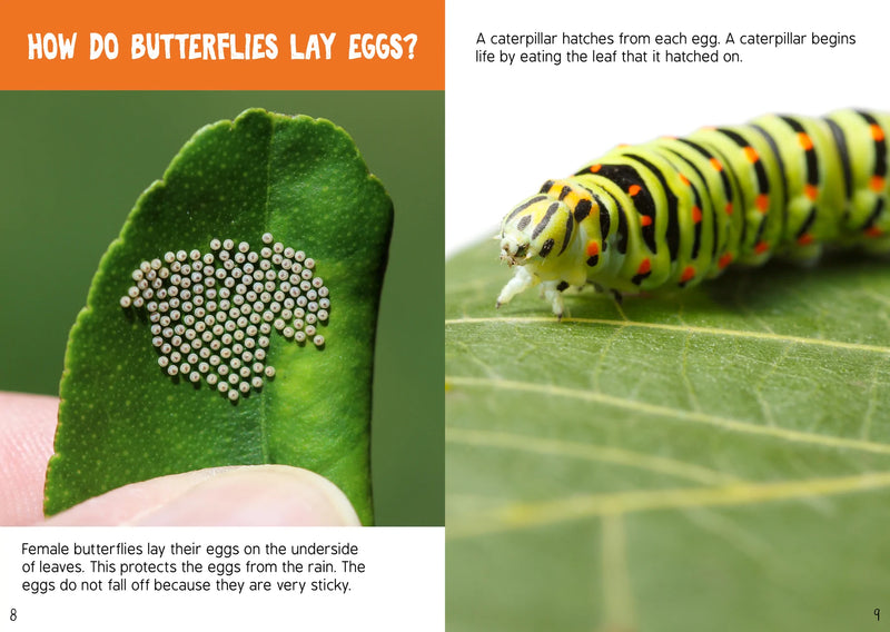BookLife Freedom Readers: Lives of Butterflies
