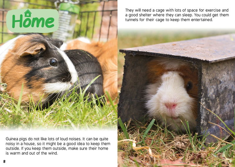 BookLife Freedom Readers: My Pet Guinea Pig