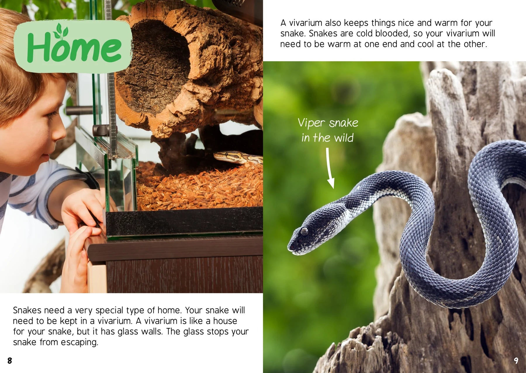 BookLife Freedom Readers: My Pet Snake