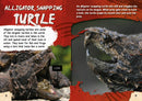 BookLife Freedom Readers:Reptile Predators