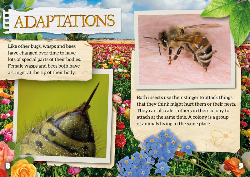 BookLife Freedom Readers:Wasps and Bees