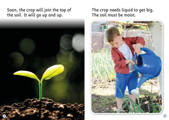 BookLife Decodable Non-Fiction Readers: From Seed to Crop