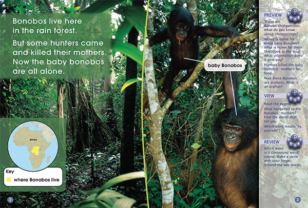 Key Links Blue Book 5, Level 9: Baby Bonobos Alone