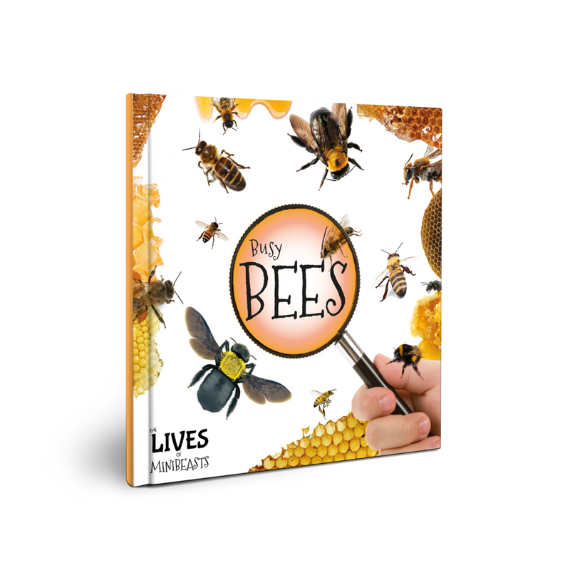 Lives of Minibeasts: Busy Bees