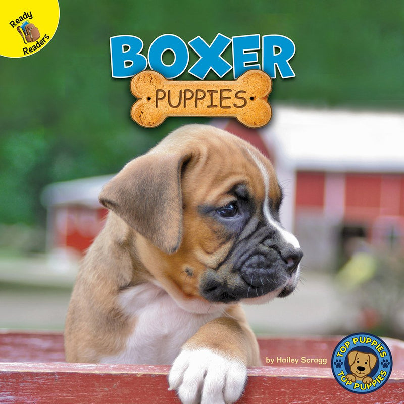 Ready Readers:Boxer Puppies