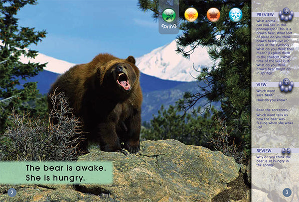 Key Links Red (Book 14, Level 4): Brown Bear