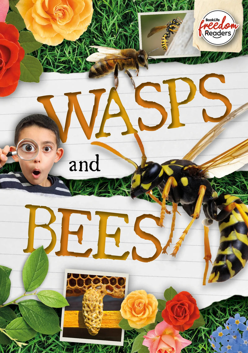 BookLife Freedom Readers:Wasps and Bees
