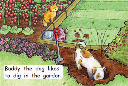 Red Rocket Early Level 1 Fiction C (Level 5): Busy Buddy
