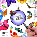 The Lives of Mini Beasts:Beautiful Butterflies(HB)