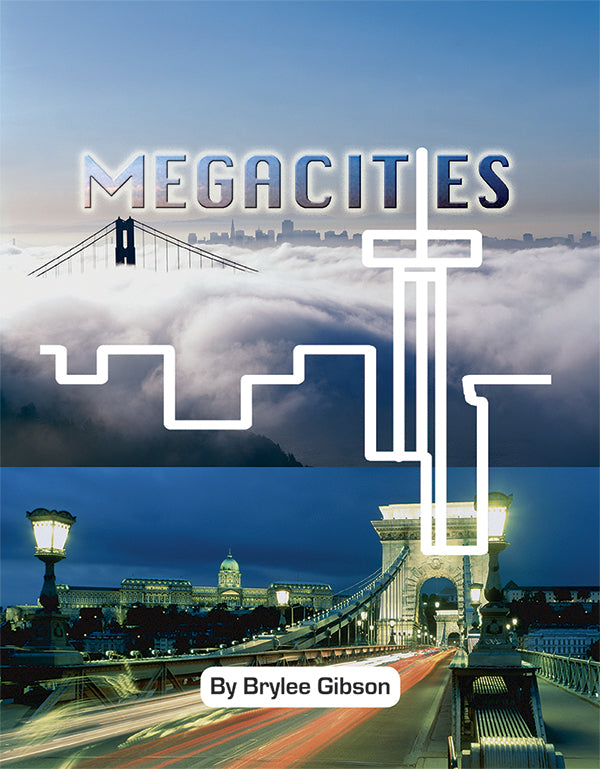 Connectors I - Megacities