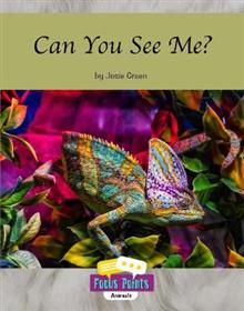 Focus Points: Can You See Me? (L 13)